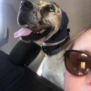 Meet your Posher, Kacey